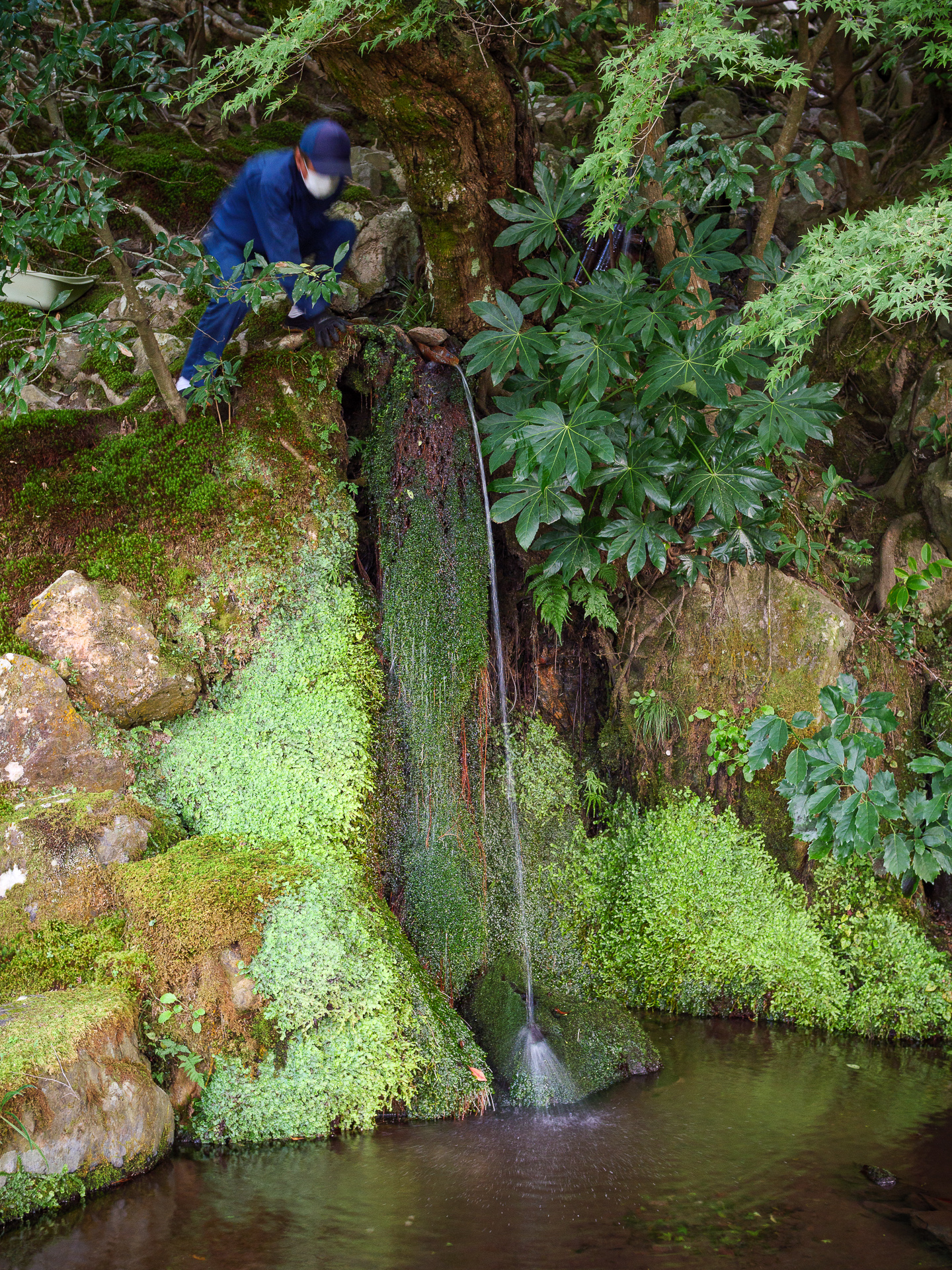 Ohayô